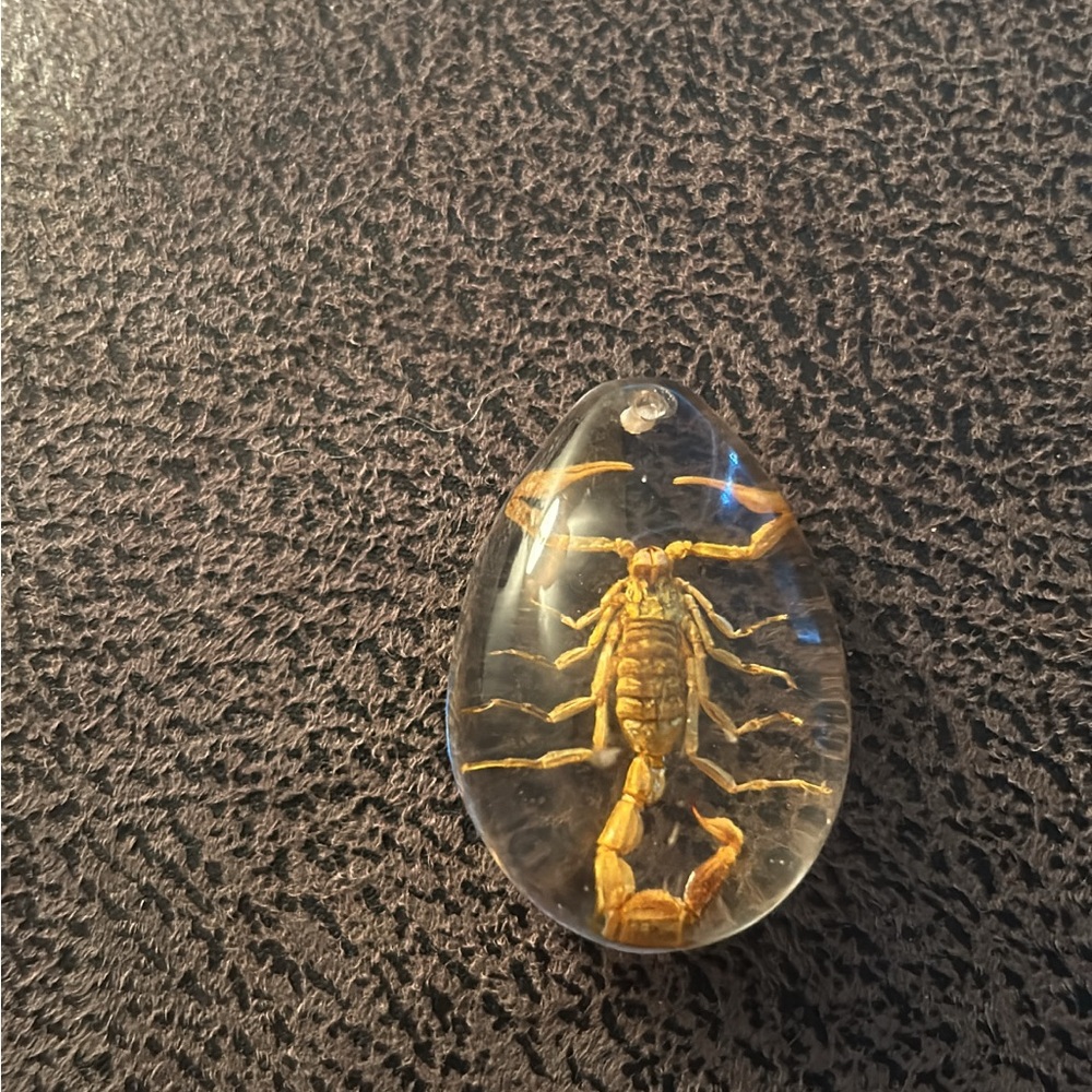 Scorpion Pendant with Gold Accents